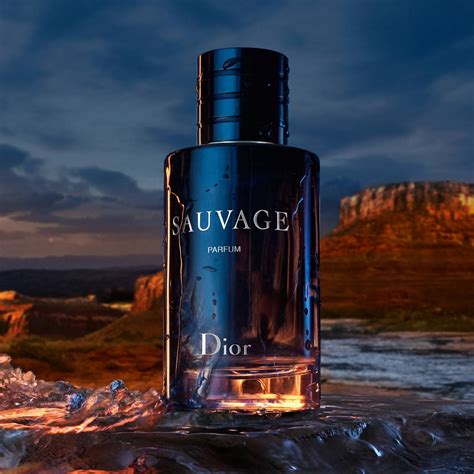 christian dior cologne sauvage|Dior Sauvage 100 ml price.